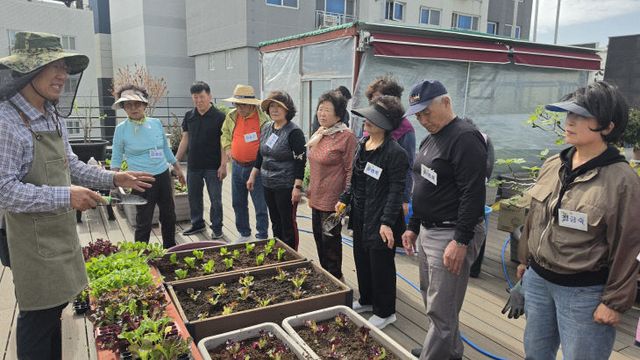 보도사진2(민락동『까치 )