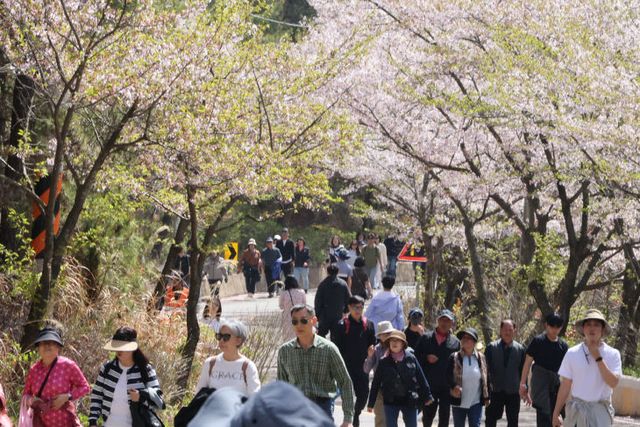 성황리에 마쳐)-1