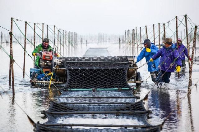 445156284340568083_287968244530980