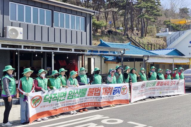 덕적면 새마을부녀회 임산물 불법채취