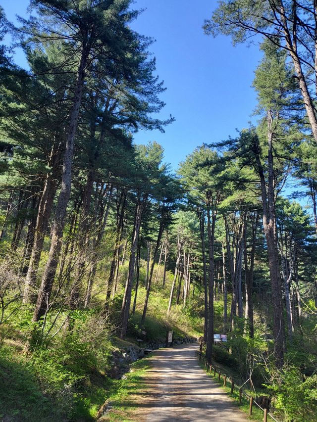 KakaoTalk_20260427_085513159