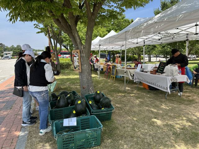 운곡습지 오베이골 마을장터