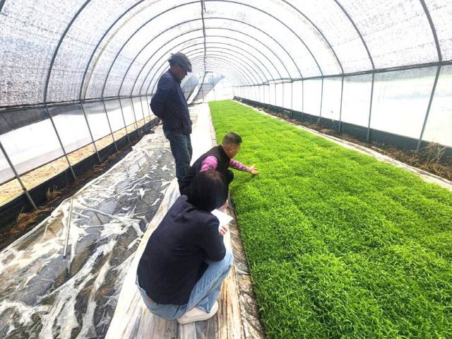 Resized_FB_IMG_1777291872674_486577690419538