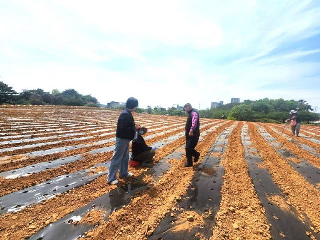 Resized_FB_IMG_1777291885471_486538612475126