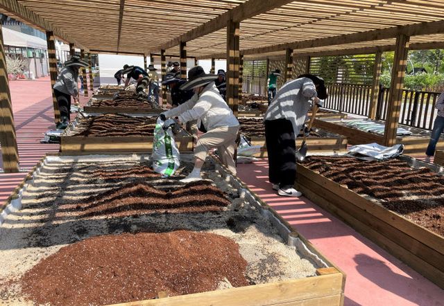 1. 반려식물 스튜디오