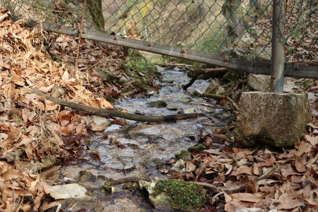 대전월평정수장 옹벽 아래 용출수