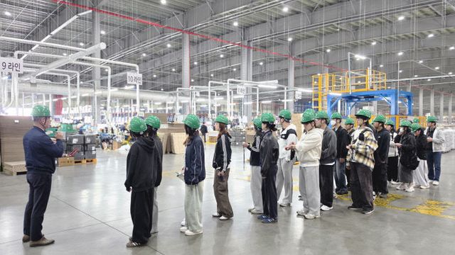 'BJFEZ 인사이트트립'