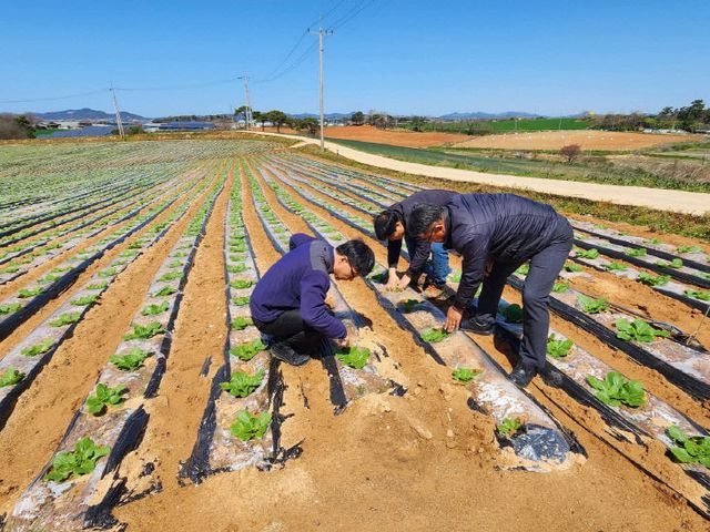 447587843072827408_5331563791 (1)