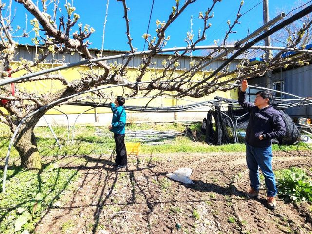 7447587432511779531_5330595189 (1)