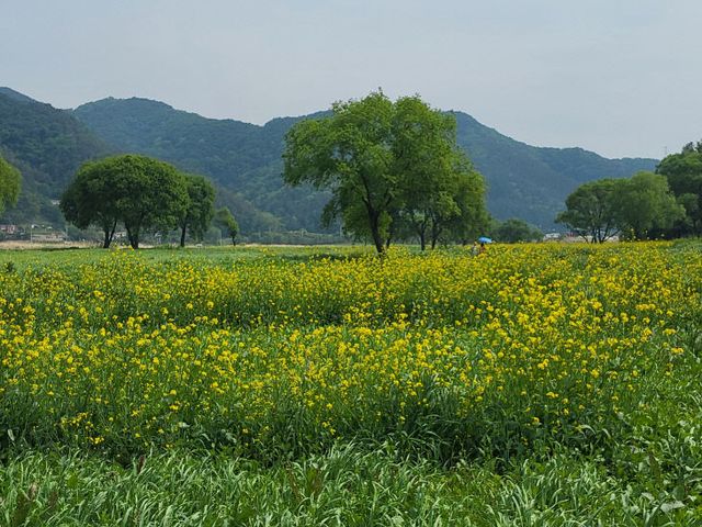 KakaoTalk_20260511_090129619