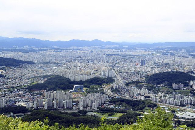식장산에서 (5)