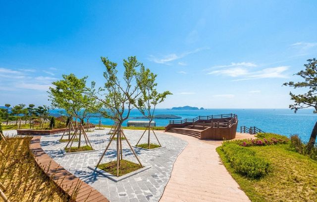 사진자료1(손불면 복합산림경관숲 전경)