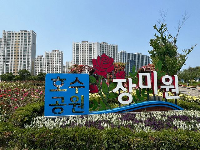 장미원 사진3