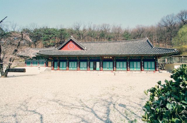 대흥배수지, 고산사, 신탄진, 세천공원 봄꽃_1997-04-10_2