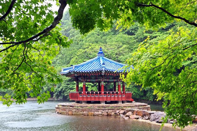 ” 정읍 내장산, 촉촉한 신록 물결 가득 (2)