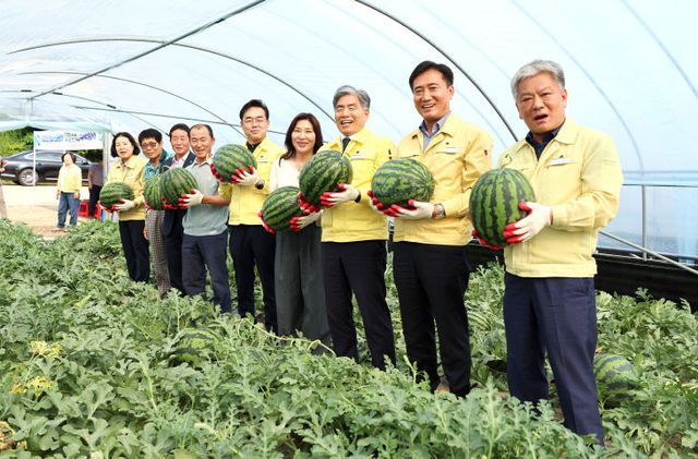 성내스테비아 고창수박 수확행사(3)