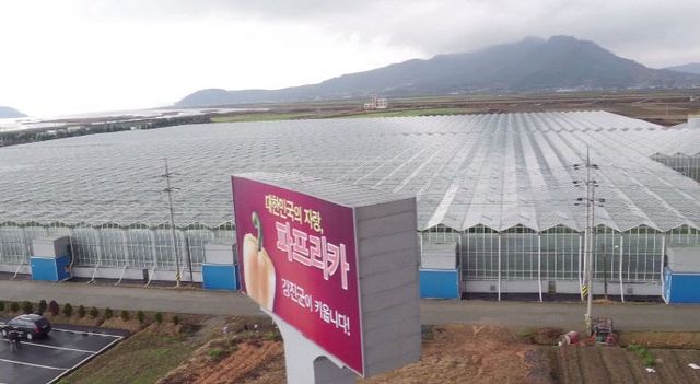 1-아트팜