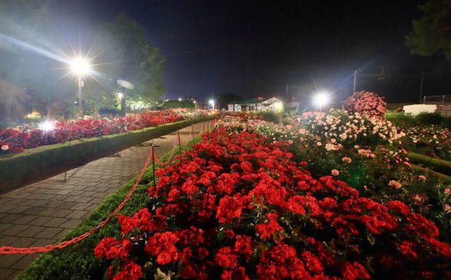 곡