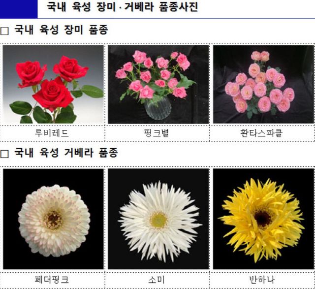 품종