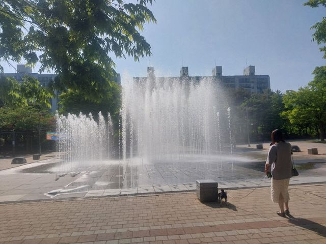 중앙공원 부수대 가동