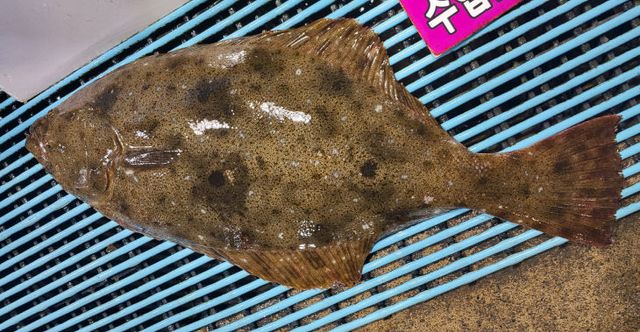 KakaoTalk_20260601_092910142