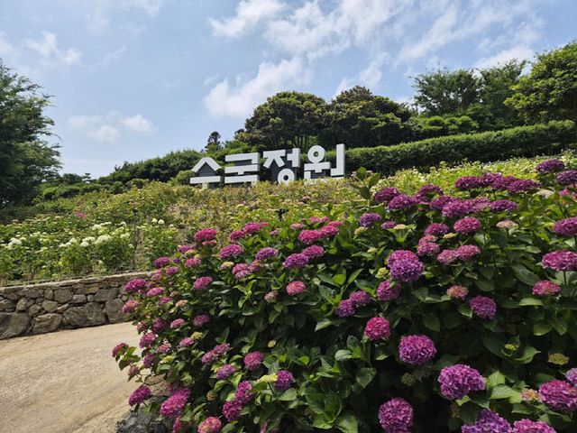 사진 (1)