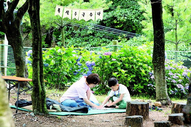 260617 부산 북구, 제2회 ‘수국개최