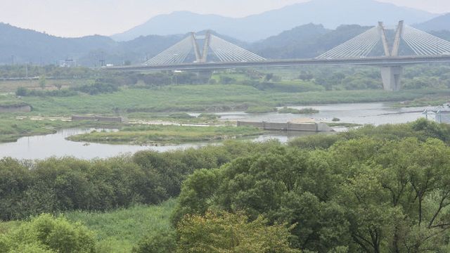 세종보 25.09