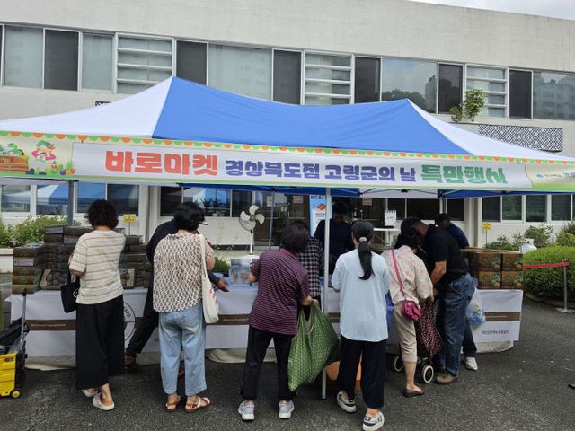고령 경상북도 바로마켓 개진감자 특판행사