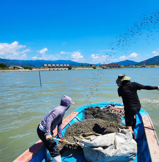 보