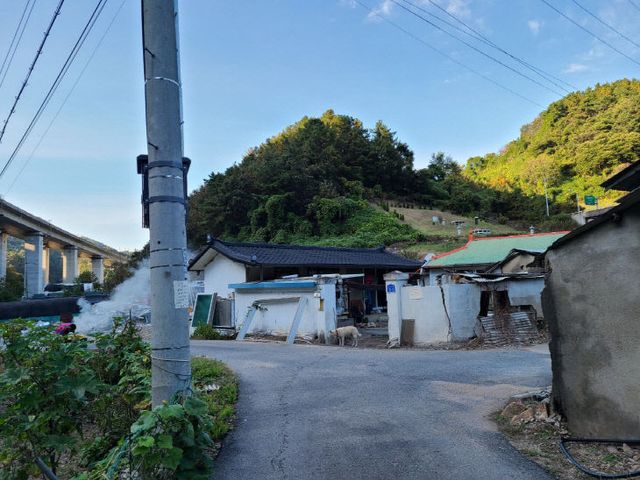 KakaoTalk_20260620_150721616_03