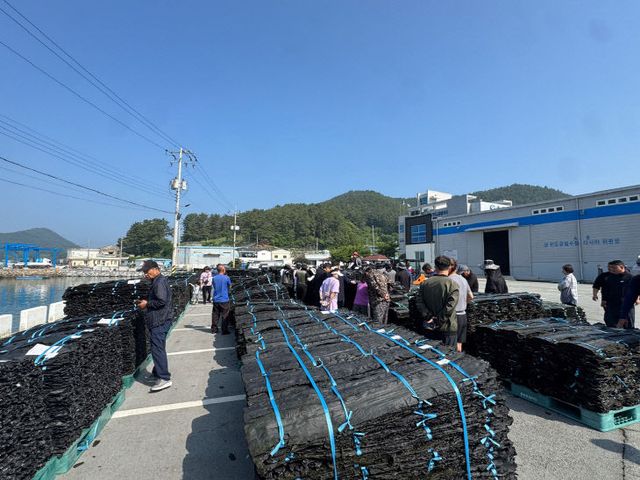 완도