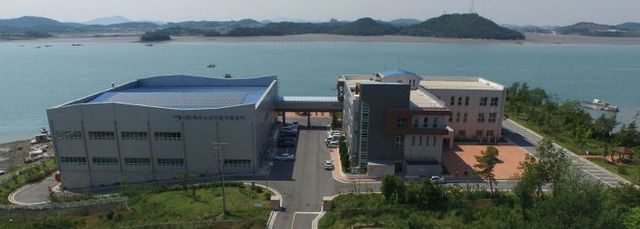 목