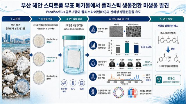국립부경대학교.김미지