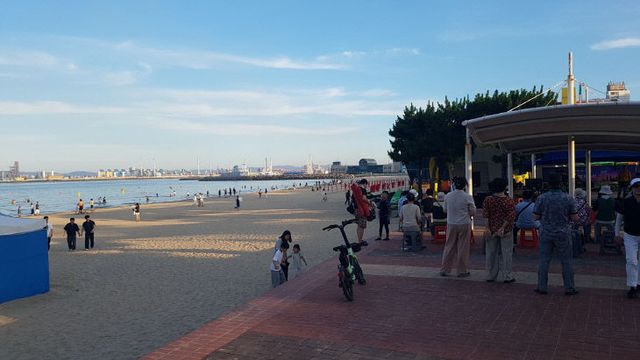 사진