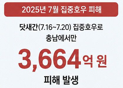 2025년 7월 충남지역 집중호우 피해