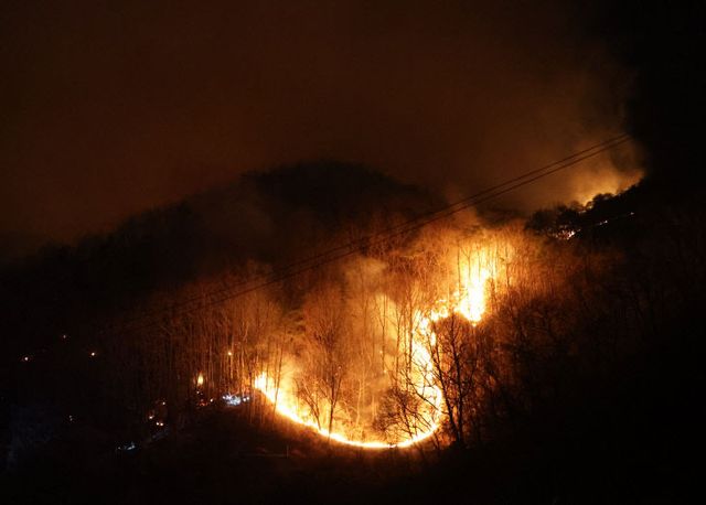 산불 잡고 감시체제로 전환)