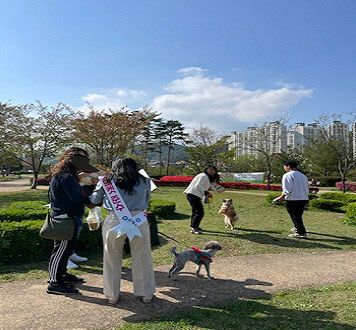 7.20(김해시 반려동물 미등록 집중단속 실시)1