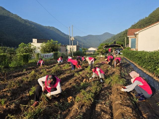 사진