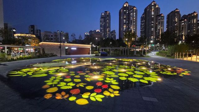 평화연못 야간조명(가을)