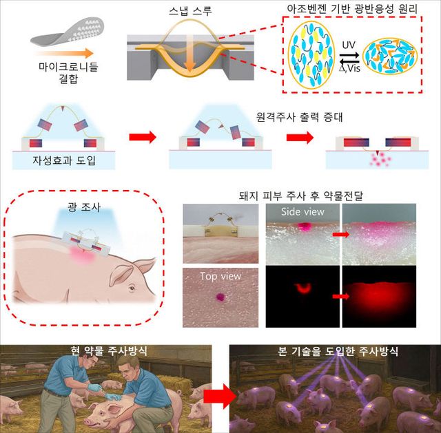 스냅스루 액정엘라스토머-마이크로 예시