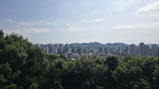고운동