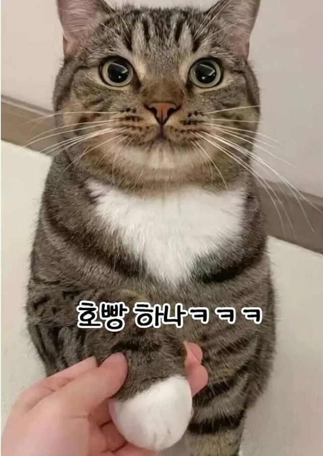 17214732101881.jpg