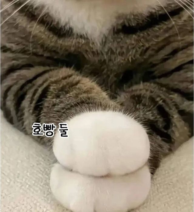 17214732109285.jpg