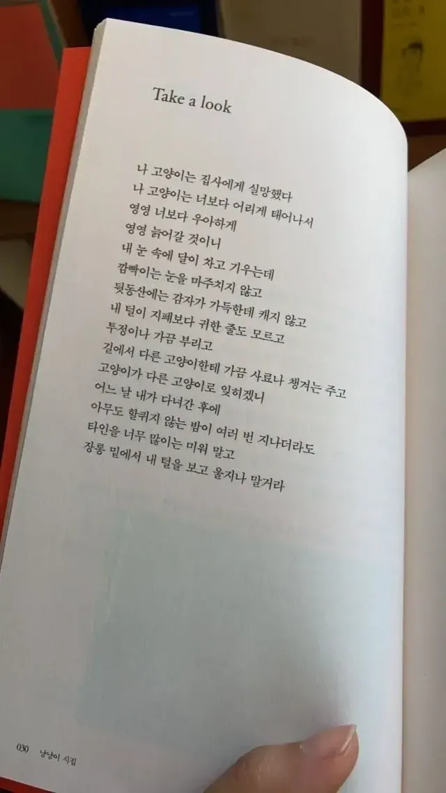 17195491500718.webp