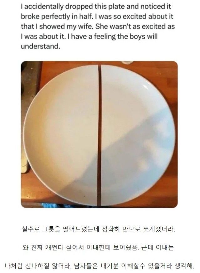 그릇 깨먹었는데 신난 남편