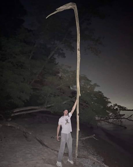 Here's ma stick mother trucker's