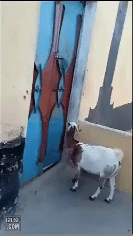 3696803524_ZUfJPHp9_I4AtExRyCo8jXkuN.webp (270×480)