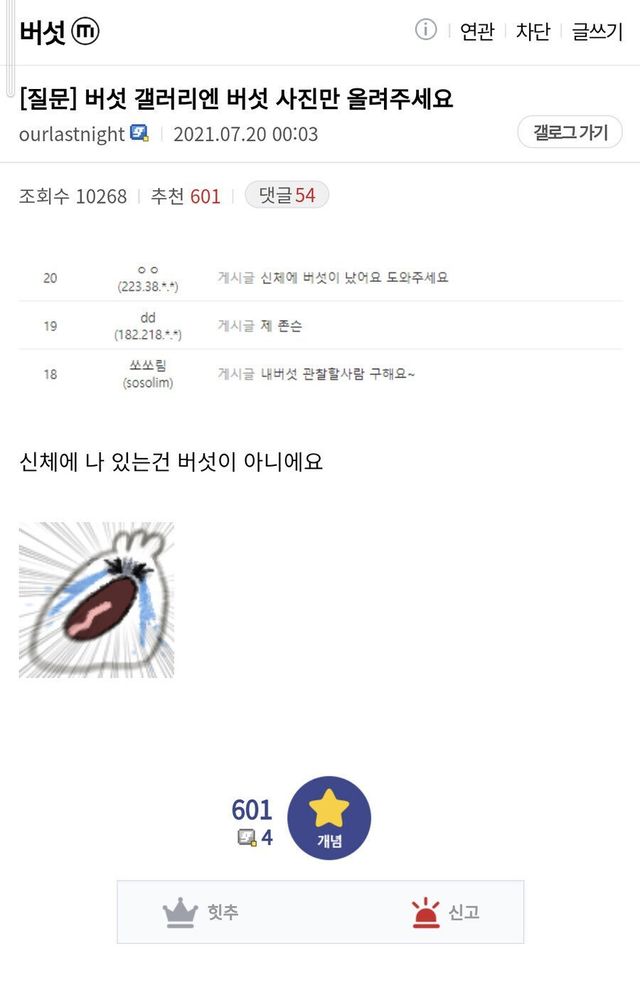 4ca58a1c3e3c378803ba089ce6a89f56.jpg 디씨 버섯갤 관리자의 고충.jpg