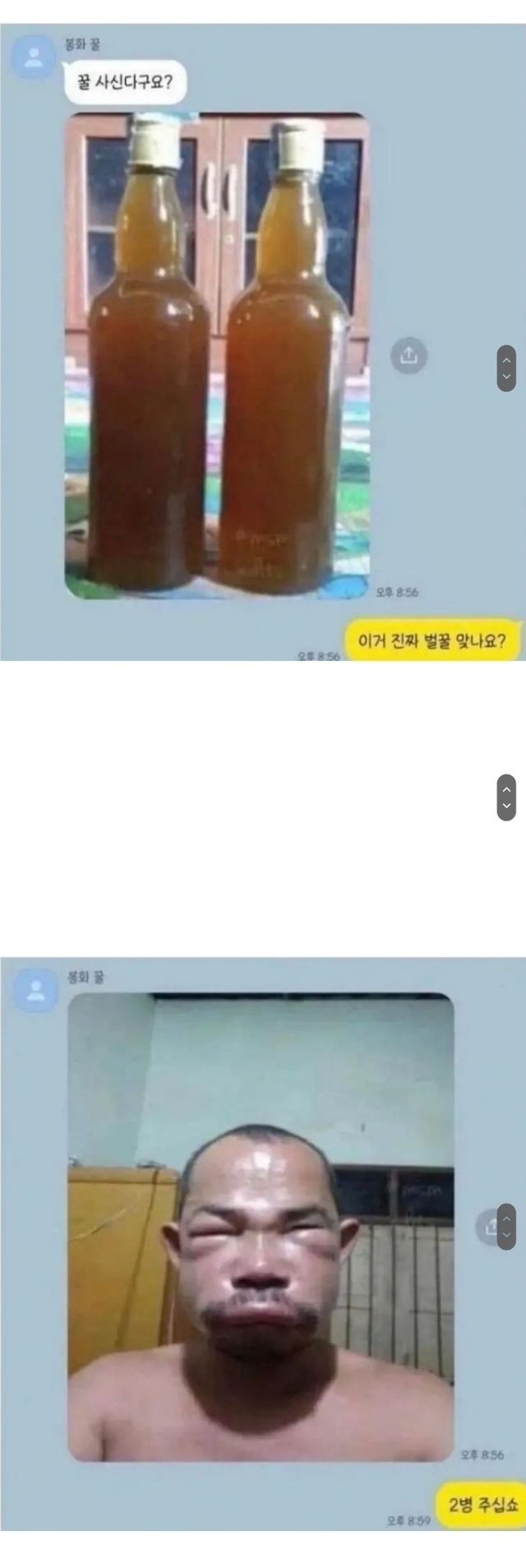 퀘이사존